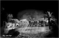 /album/fotogaleria-fotos-b-n/mg-8287-640x480-jpg/